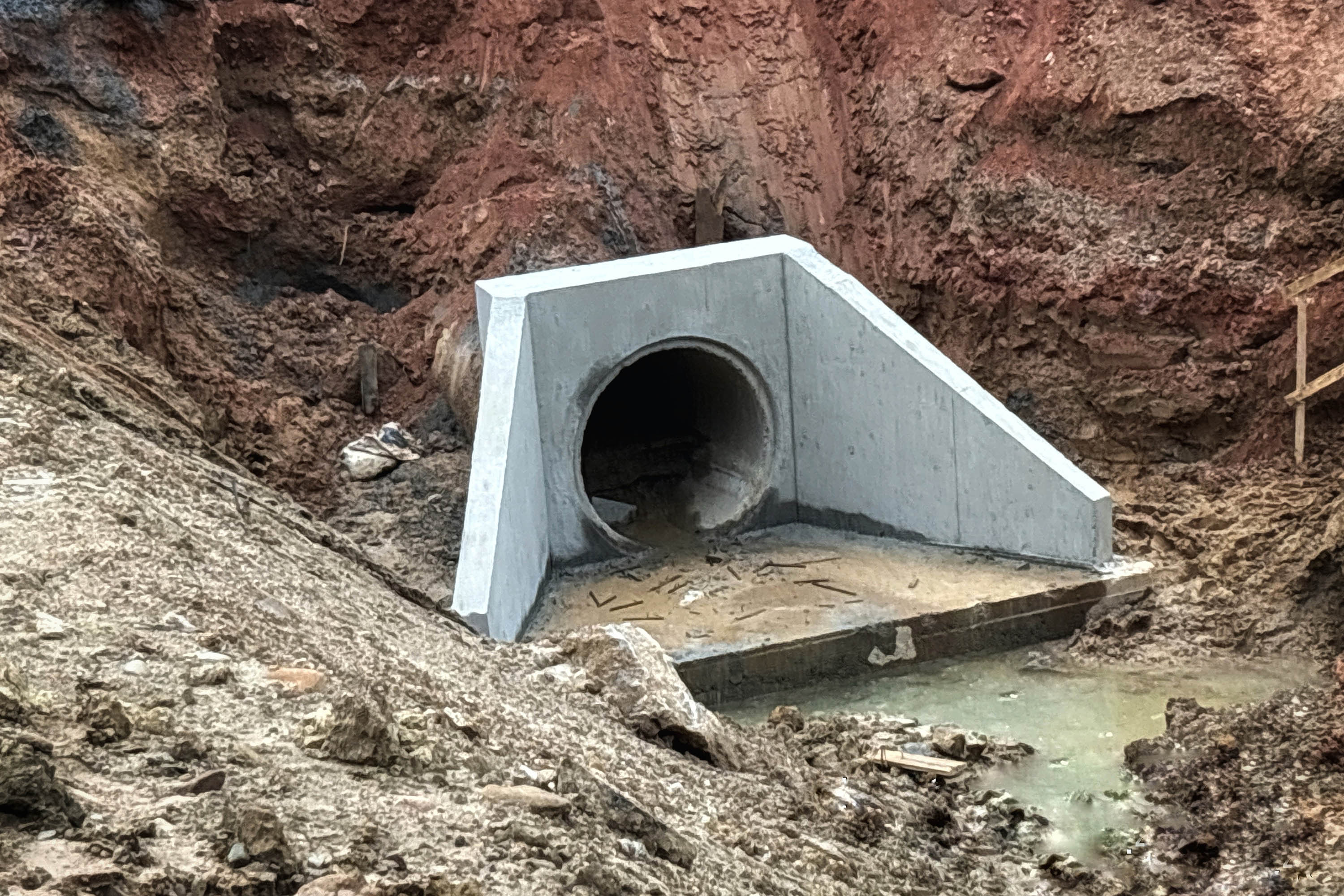 Ponte de Guaratuba ganha passagens de fauna