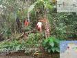 Homens trabalham durante a supressão vegetal para manejo de fauna