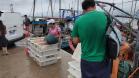 Monitoramento do desembarque pesqueiro aponta estabilidade da pesca artesanal durante obras da Ponte de Guaratuba