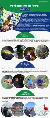 Avifauna