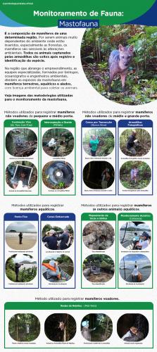 Metodologias para Mastofauna