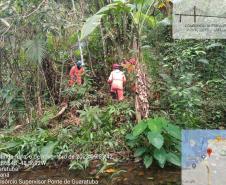Homens trabalham durante a supressão vegetal para manejo de fauna