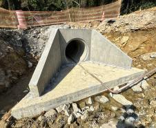 Ponte de Guaratuba ganha passagens de fauna