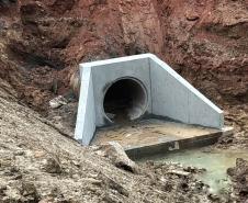 Ponte de Guaratuba ganha passagens de fauna
