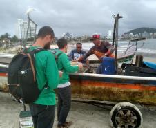 Monitoramento do desembarque pesqueiro aponta estabilidade da pesca artesanal durante obras da Ponte de Guaratuba