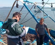 Monitoramento do desembarque pesqueiro aponta estabilidade da pesca artesanal durante obras da Ponte de Guaratuba