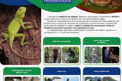 infográfico monitoramento herpetofauna