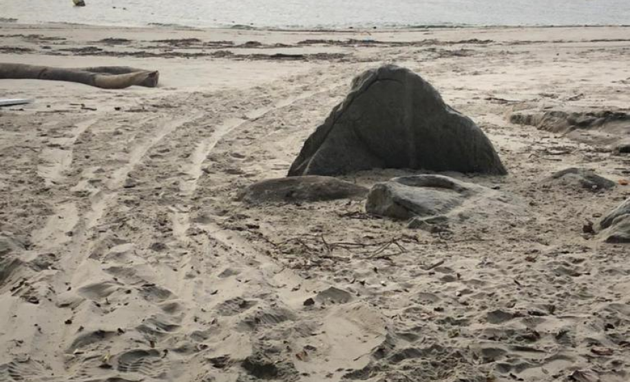 Com liberação de R$ 2,2 milhões, Ponte de Guaratuba segue avançando um mês após licença