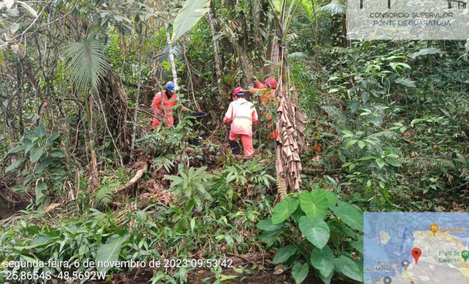Homens trabalham durante a supressão vegetal para manejo de fauna