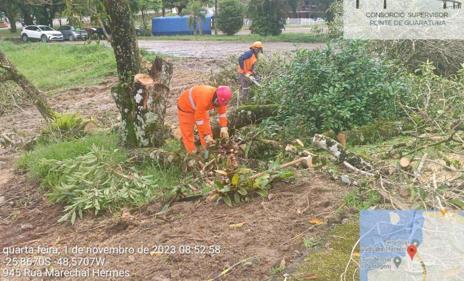 Autorizada supressão vegetal em Guaratuba