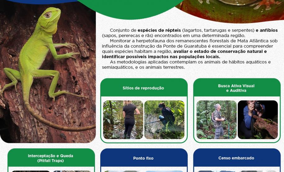 infográfico monitoramento herpetofauna