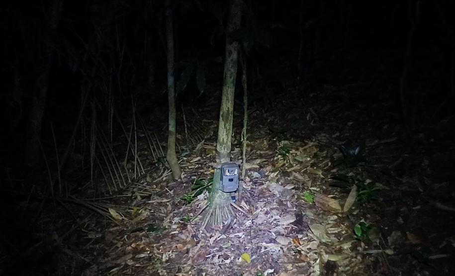 Câmera trap para monitoramento de mamíferos de médio e grande porte