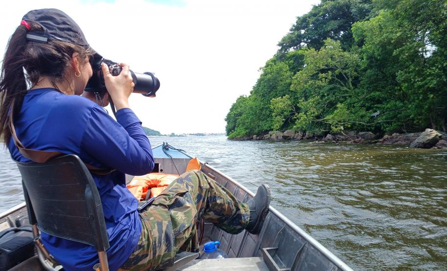 Pesquisadora realiza censo embarcado