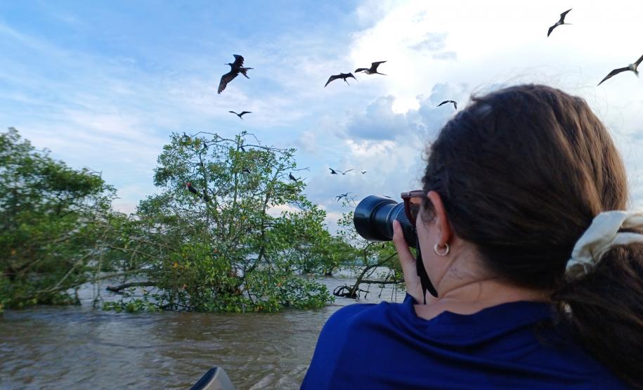 Pesquisadora realizando registro de fragatas (Fregata magnificiens) em censo embarcado