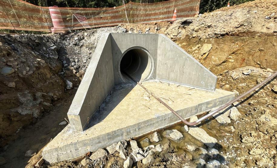 Ponte de Guaratuba ganha passagens de fauna