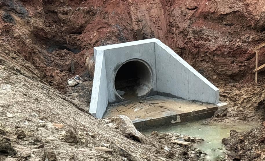 Ponte de Guaratuba ganha passagens de fauna