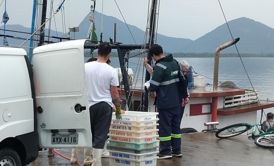 Monitoramento do desembarque pesqueiro aponta estabilidade da pesca artesanal durante obras da Ponte de Guaratuba